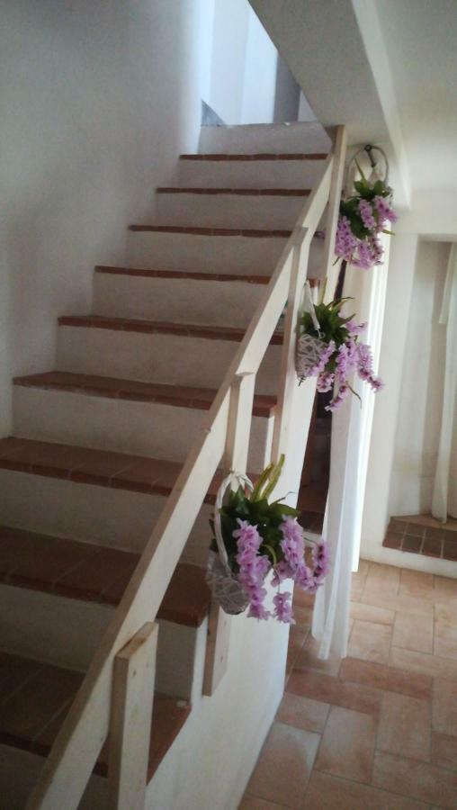 B&B Domu Incanto Sa Domu Sarrabesa Муравьера Экстерьер фото